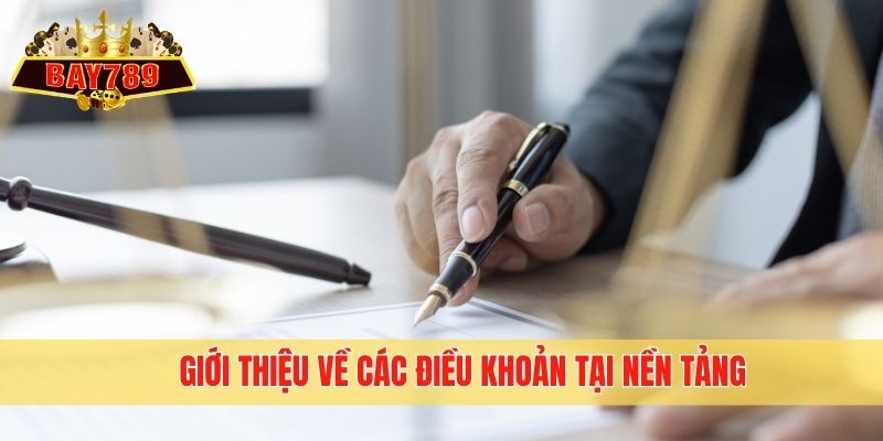 Giới thiệu về các điều khoản tại nền tảng